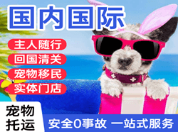 岳阳空运国际宠物托运 【国